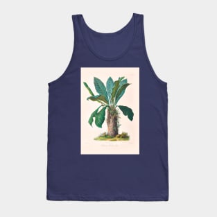 Anthurium Hookeri - Icones Aroidearum - Botanical Illustration Tank Top